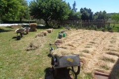 Mulch Test Start