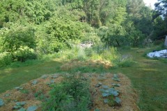 Mulch Test Waldgarten