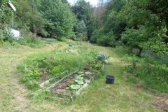 Neuanlage Waldgarten Kelbra 2022